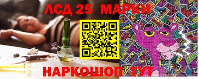 спиды Тара