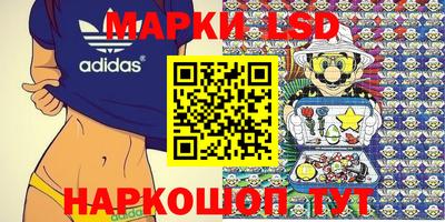 шишки Татарск