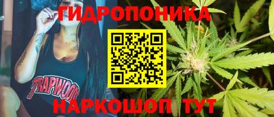 шишки Татарск